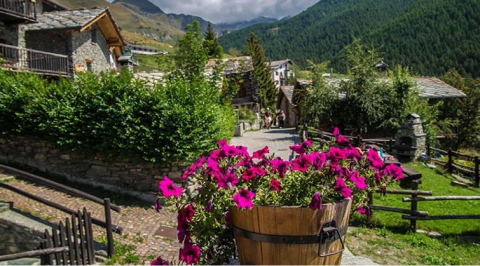 alp-daglarinin-mashinsiz-kendi-chamoisfoto