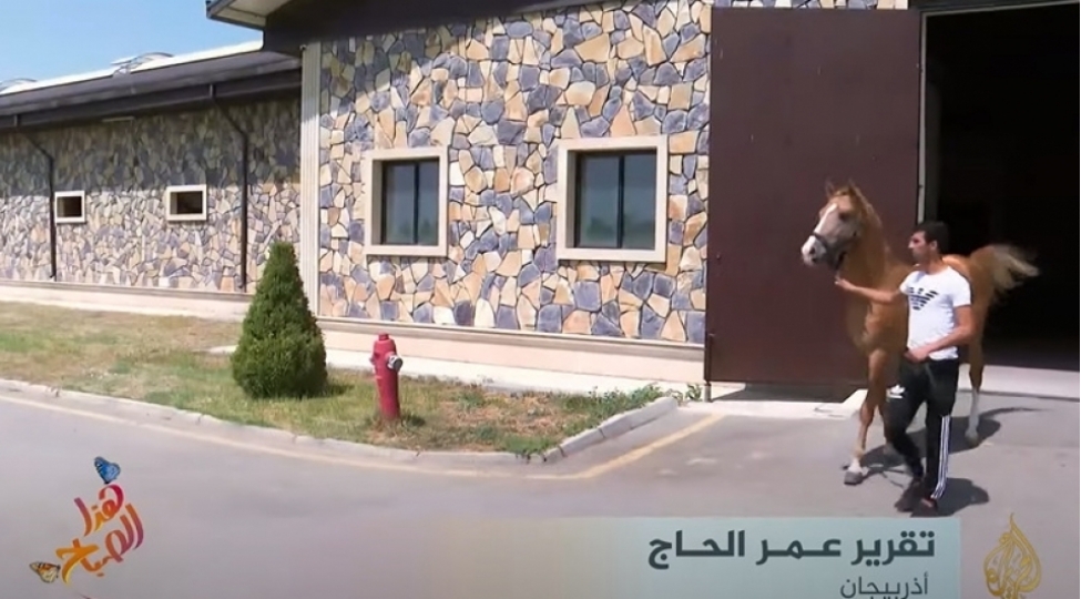 el-cezire-telekanali-qarabag-atlari-barede-reportaj-yayimlayib