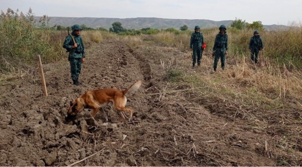 dsx-ashkarlanan-mina-ve-sursatlarin-sayini-achiqlayib