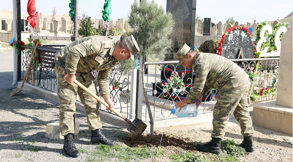 her-shehid-adina-bir-agac-ekek-devizi-altinda-aksiya-kechirilib-video