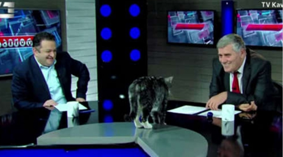 efirin-gozlenilmez-qonagi