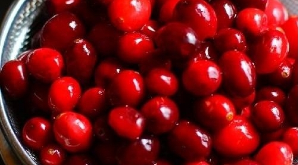 daily-express-bu-gilemeyve-omru-uzadir