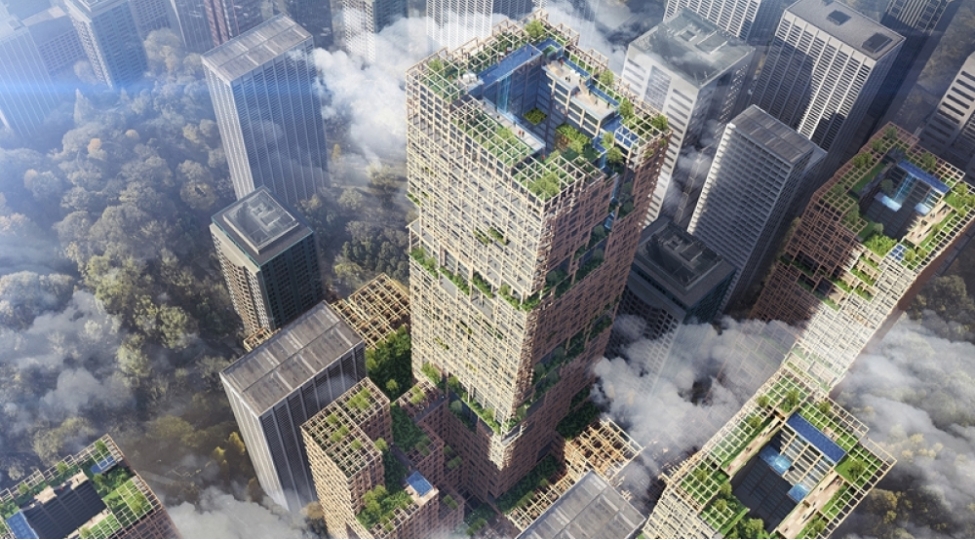 tokioda-taxtadan-goydelen-tikmek-isteyirler