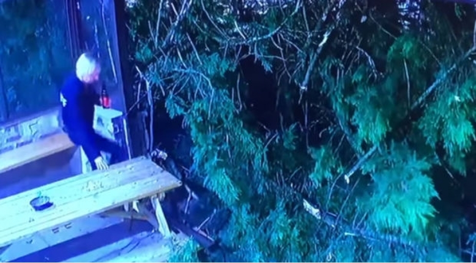 neheng-agac-iashe-obyektinin-ustune-dushdu