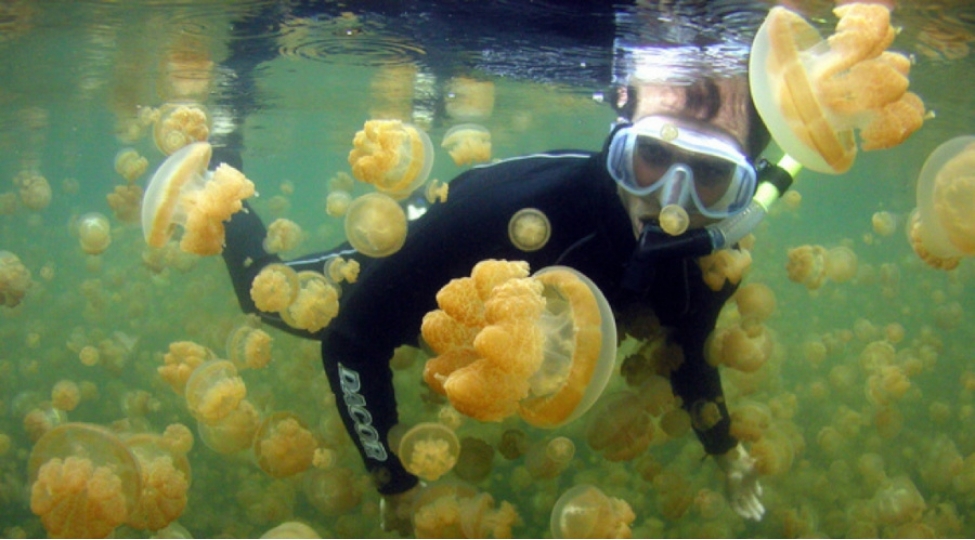 planetimizin-en-ekzotik-golleri