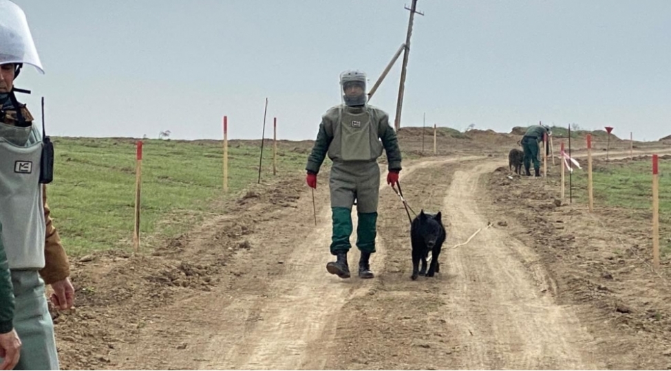 azad-edilen-erazilerde-daha-30-mina-ashkarlanib