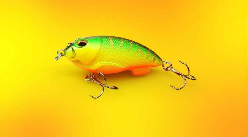 fishinqden-qorunmagin-6-usulu