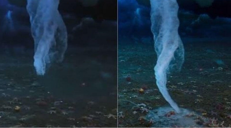 toxundugu-her-sheybuza-chevrilir-video