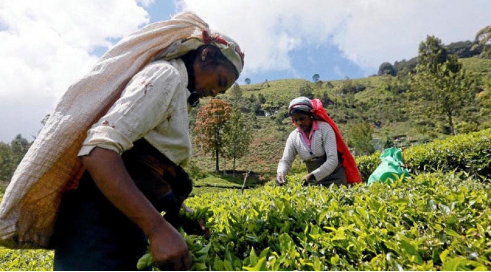 bu-olke-xarici-borcunu-chayla-odedi