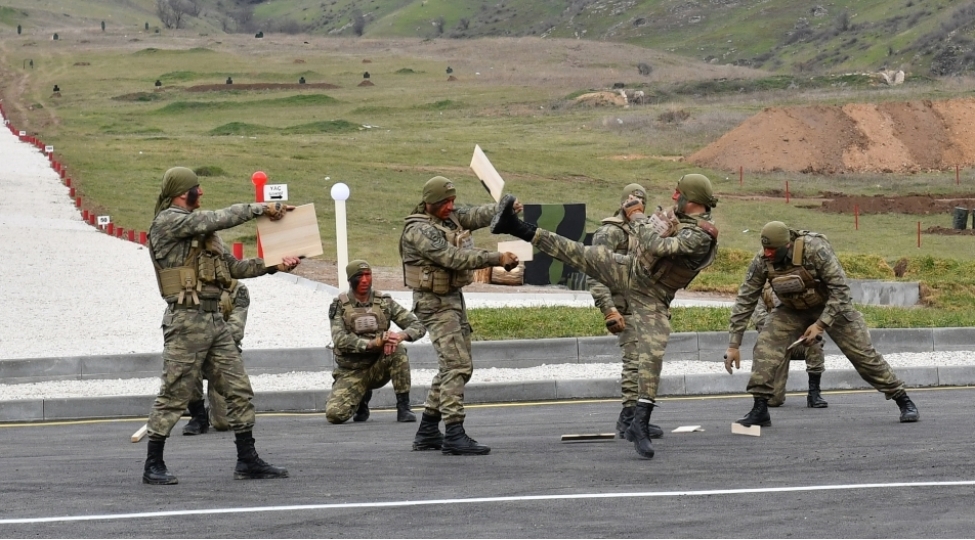 telimi-bax-bele-kechirerler