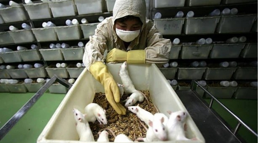 yaponiyada-qocaligin-qarshisini-alan-peyvend-hazirlanib