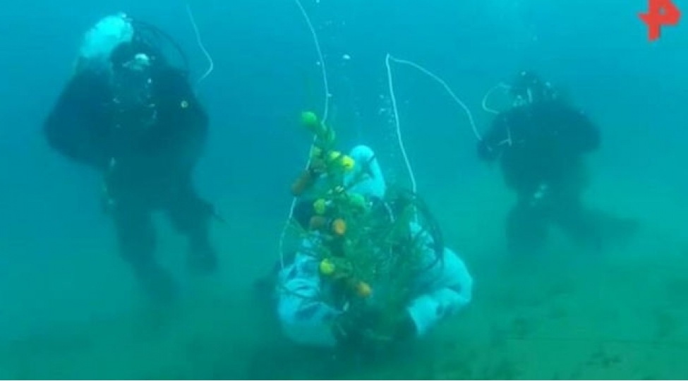 xususi-teyinatli-shaxta-babadan-maraqli-tebrik-video