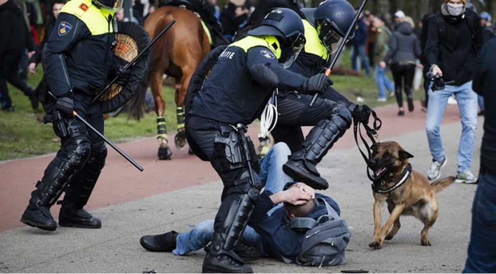 niderlandda-etirazchilara-qarshi-xidmeti-itlerden-istifade-edilib-video