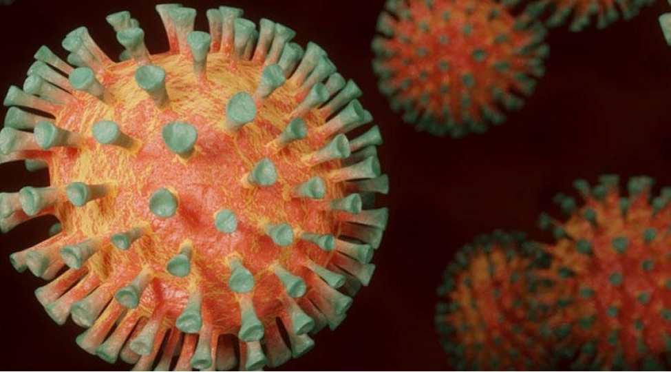 omikrondan-sonra-yeni-shtamlarin-yaranmasi-qachilmazdir