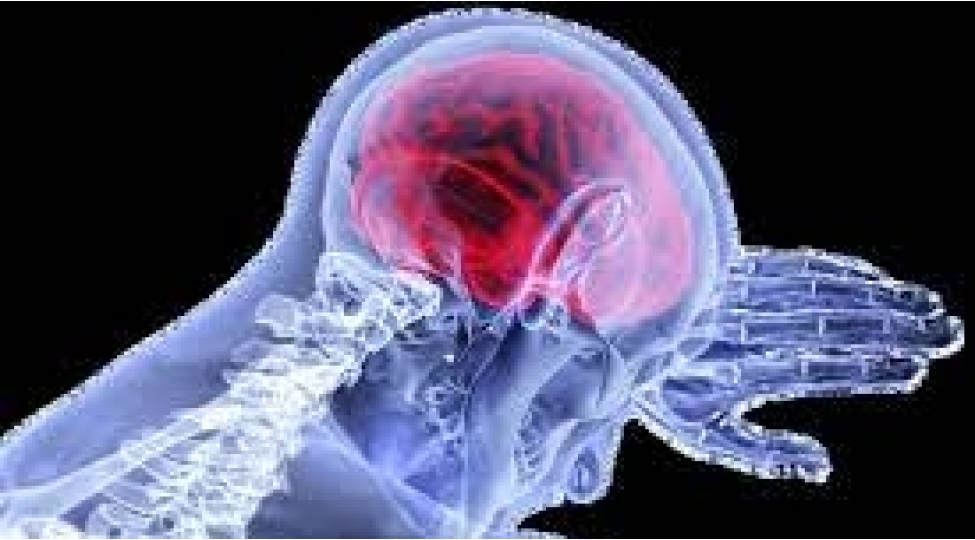 bu-meshhur-qidalar-eqli-zeiflik-yaradir