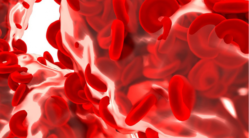 uzunomurluluyun-sirri-qanda-demirin-miqdari-ile-bagli-imish