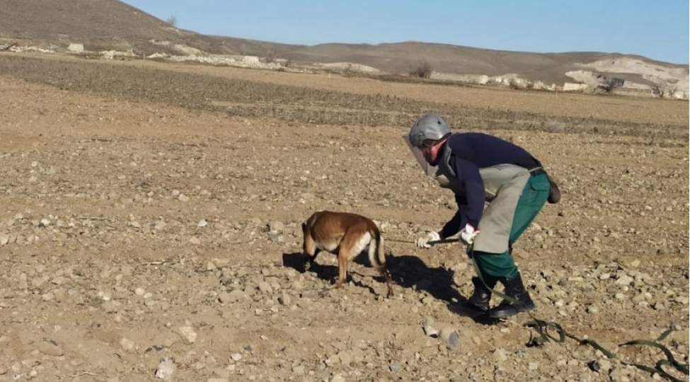 marshal-irsi-institutu-olkemizde-minatemizleme-ishlerini-suretlendirir