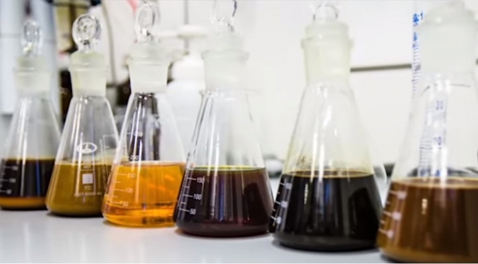 neft-hech-de-her-zaman-bizim-gorduyumuz-kimi-qara-rengde-olmur-video