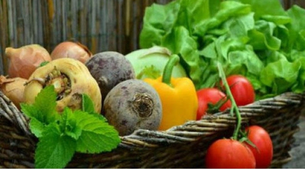 adi-terevezler-orqanizmi-butun-xesteliklerden-qoruyur