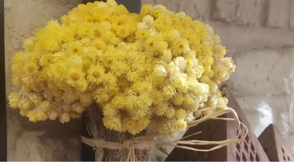 qaraciyer-hepatitleri-ve-sirrozda-mocuzevi-chare