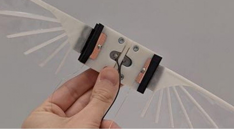 qanad-chirpan-mikrorobotlar-hazirlandi-video