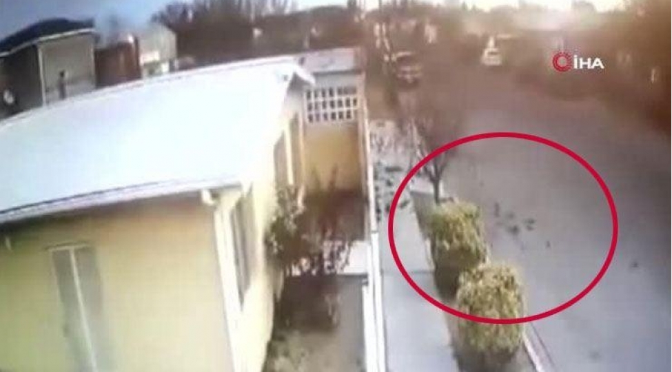 qush-surusu-yere-chirpildi-onlarla-qush-telef-olduvideo