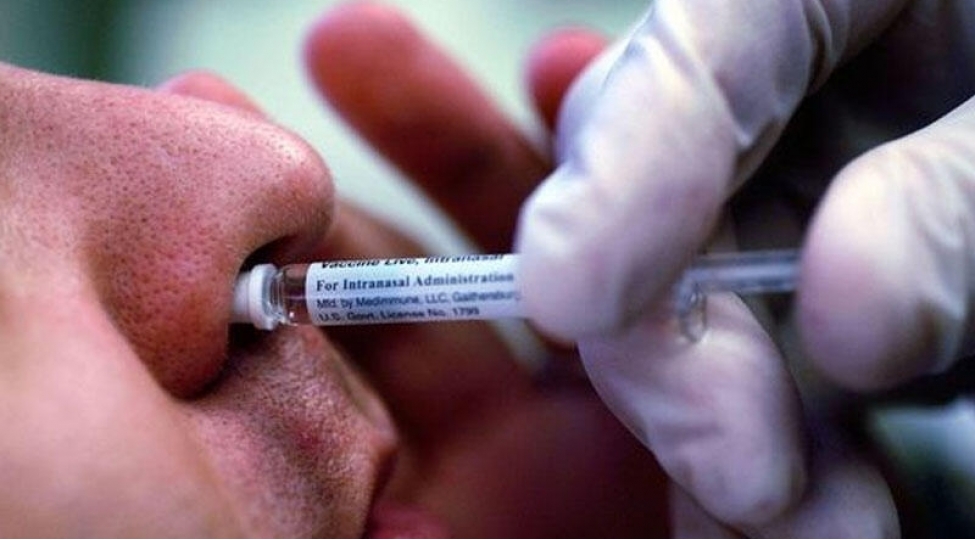 koronavirusa-qarshi-burun-peyvendleri-tehlukeli-ola-biler