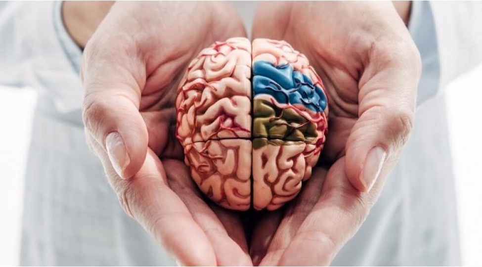 immunoloqdan-xeberdarliq-covid-e-yoluxanlarda-beynin-iltihabi-bash-vere-biler