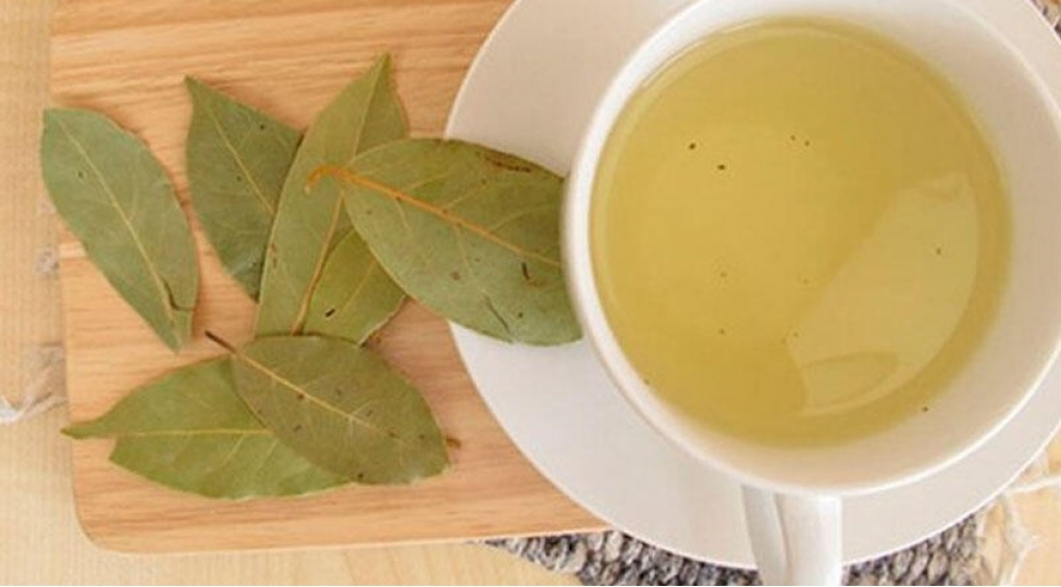 defne-yarpagi-bu-derdlerin-dermanidir