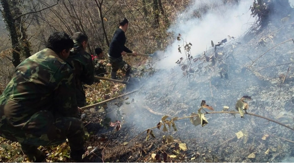 qaxda-meshelik-erazide-yanginin-sondurulmesi-prosesi-davam-edir-video