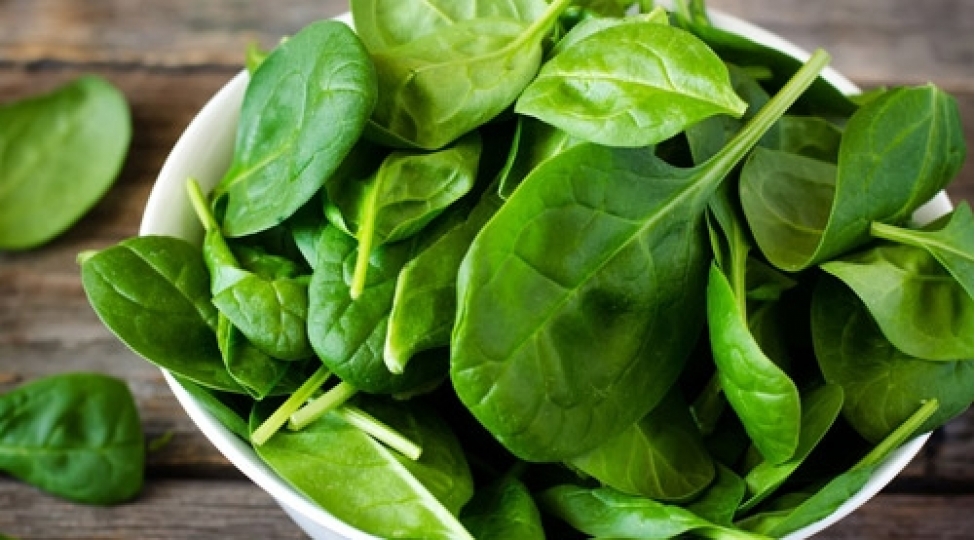 insan-orqanizmi-uchun-en-faydali-goyerti-ispanaq