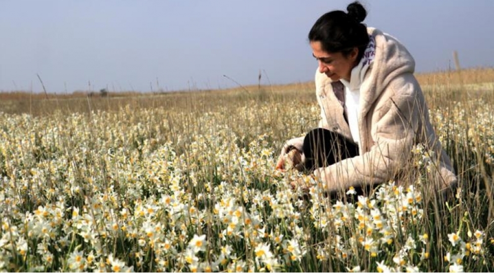 turkiyenin-gizli-cenneti-nergiz-adasifoto