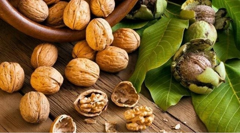 qoz-onkoloji-xesteliklerden-qoruyur-hekimden-achiqlama