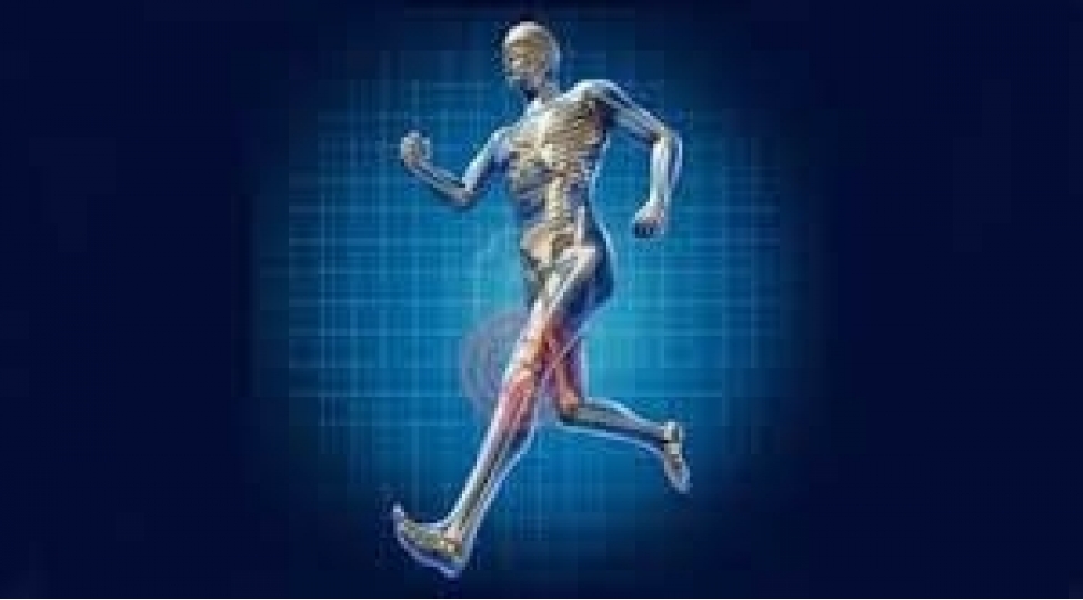 dineyn-adli-zulalin-ehemiyyeti