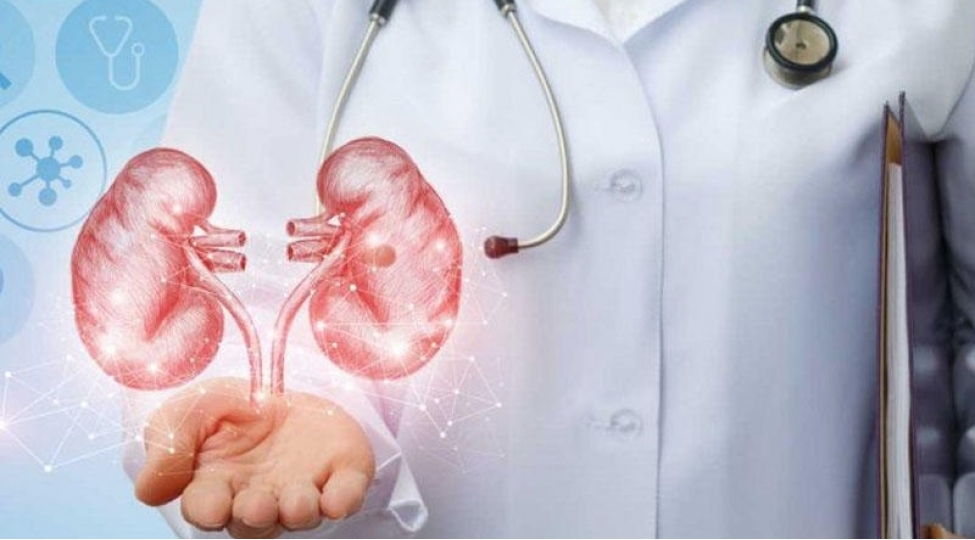 boyrek-dashini-temizleyen-sade-usul