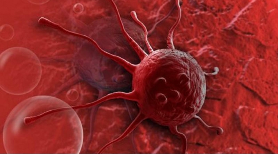 qan-xerchengi-mualicesinde-inqilab