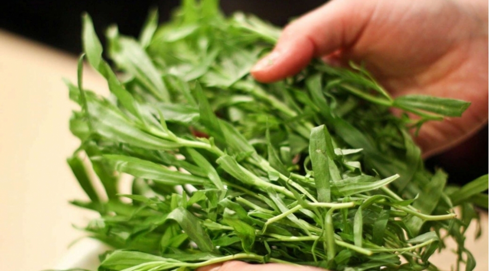 mikrob-ve-viruslari-olduren-terxun