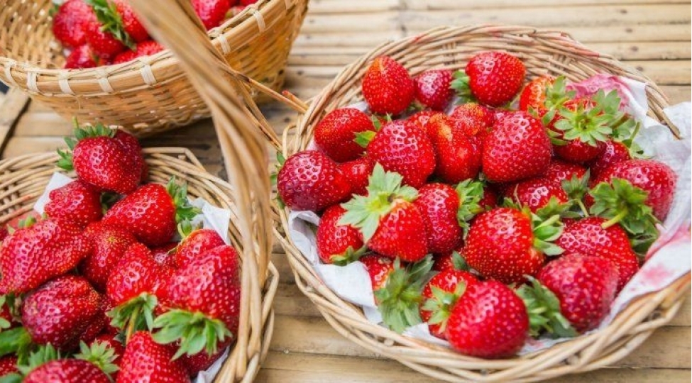 kimlere-chiyelek-yemek-olmaz