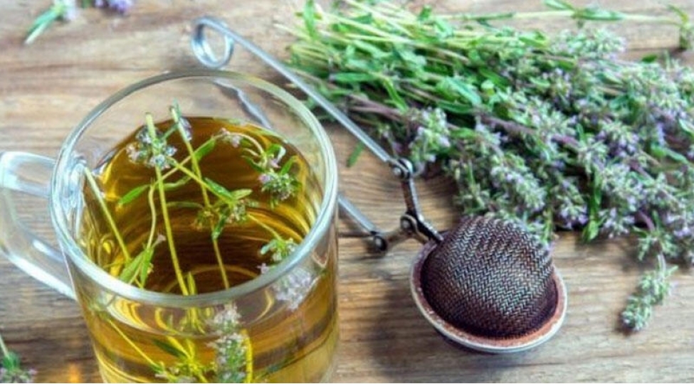 tezyiqi-salan-en-guclu-bitki-keklikotu