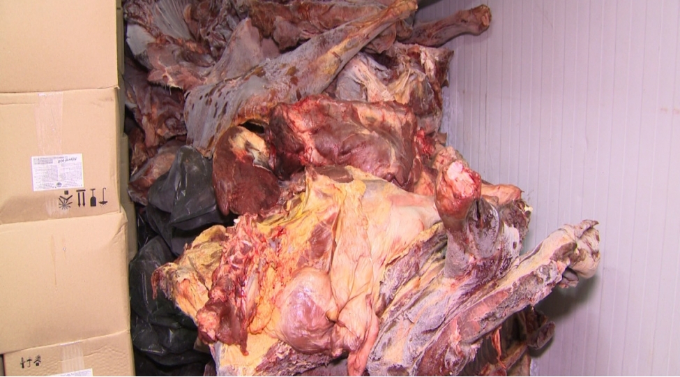 absheronda-et-kombinatindan-80-ton-et-ogurlayan-shexsler-tutulub-video