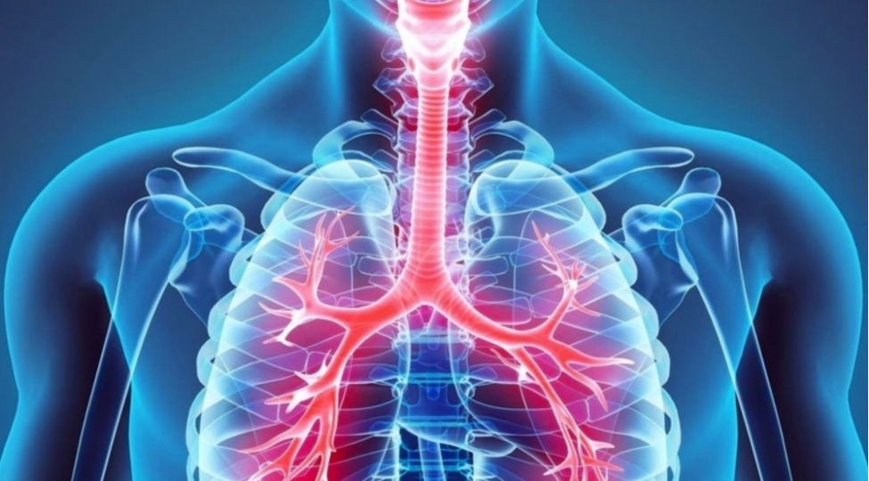 agciyerleri-temizleyen-qidalar