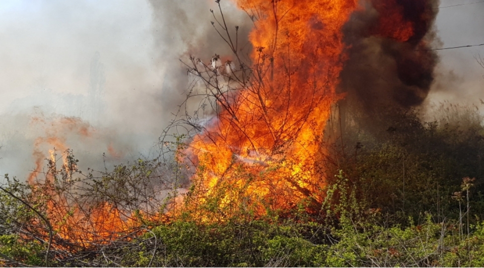 beyleqanda-iranla-serhed-zolaginda-yangin-olub-video