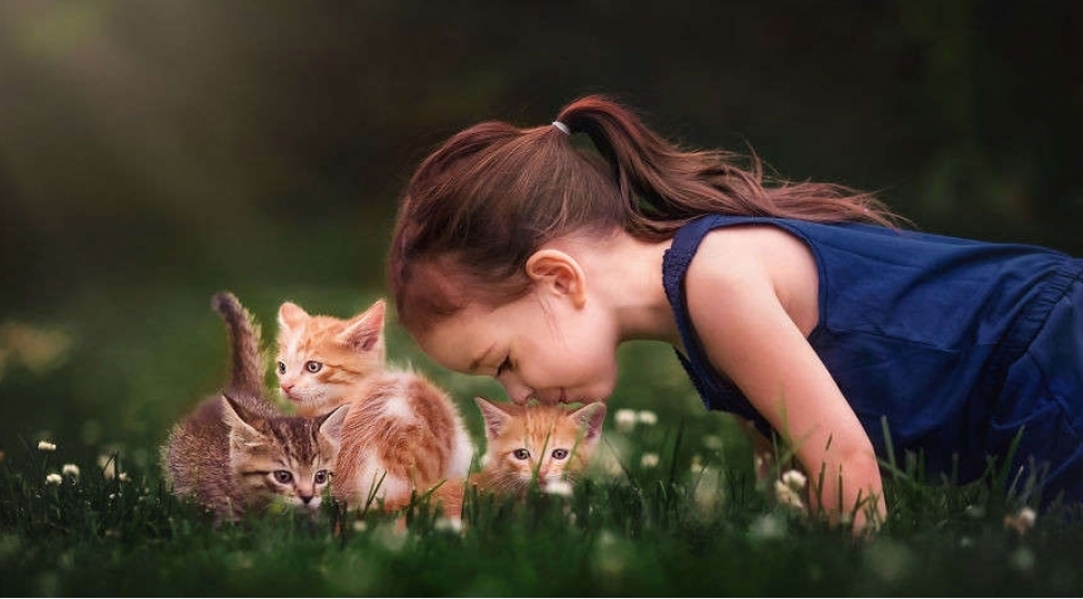 ev-heyvanlarini-opmek-gigiyenikdirmi