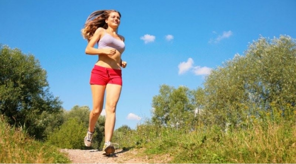 hansi-idman-novleri-daha-faydalidir