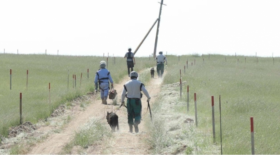 lachinda-2-herbchimiz-minaya-dushdu