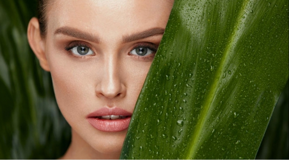 derini-qocaldan-qidalar