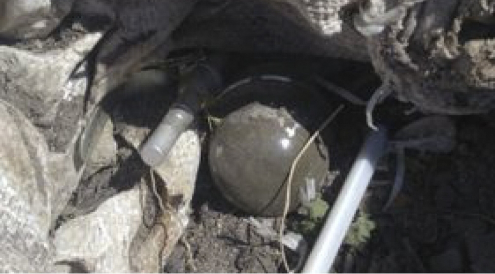 bakida-herbi-sursat-ashkarlanib-video