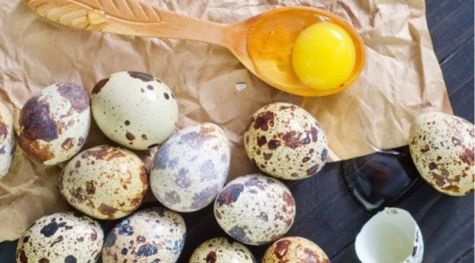 xercheng-onleyici-bildirchin-yumurtasi-hekim-faydalarini-achiqladi