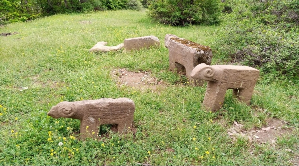 azerbaycanda-ilk-defe-dash-buga-fiquru-ashkarlanib-foto