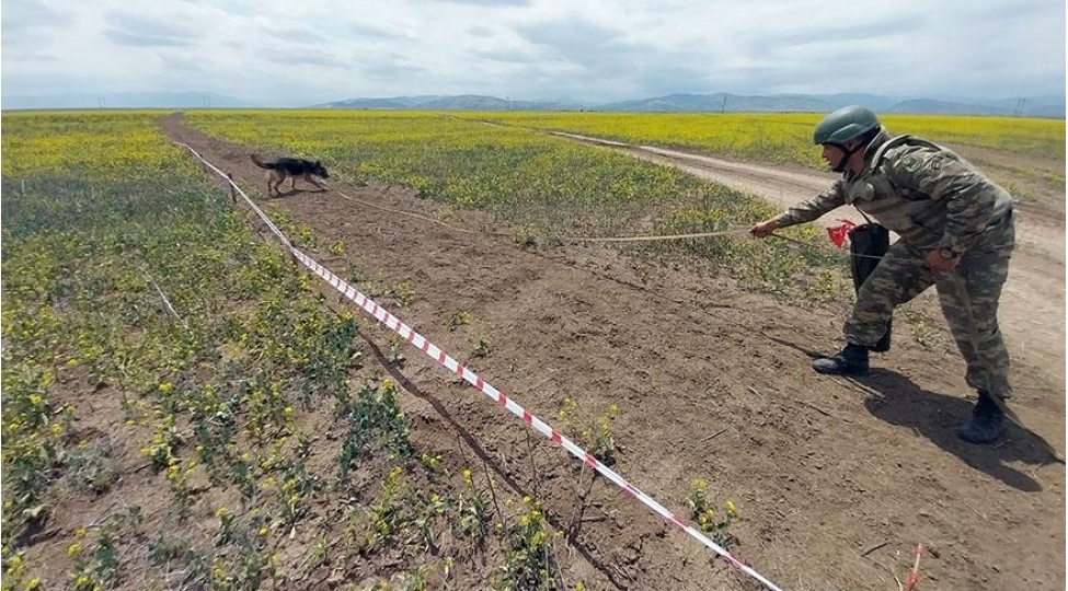 bu-ay-azad-edilmish-erazilerde-950-hektardan-chox-erazi-minalardan-tam-temizlenib